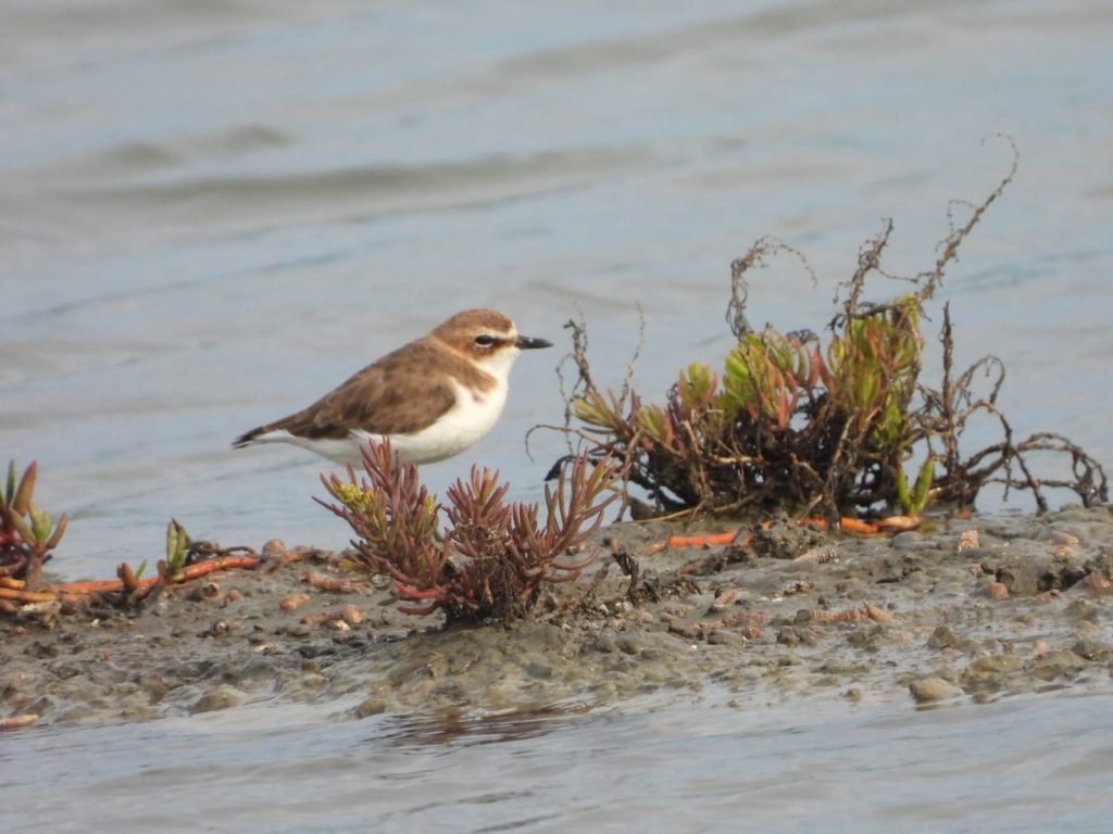 whatsapp image 2025 11 24 at 10.12.27