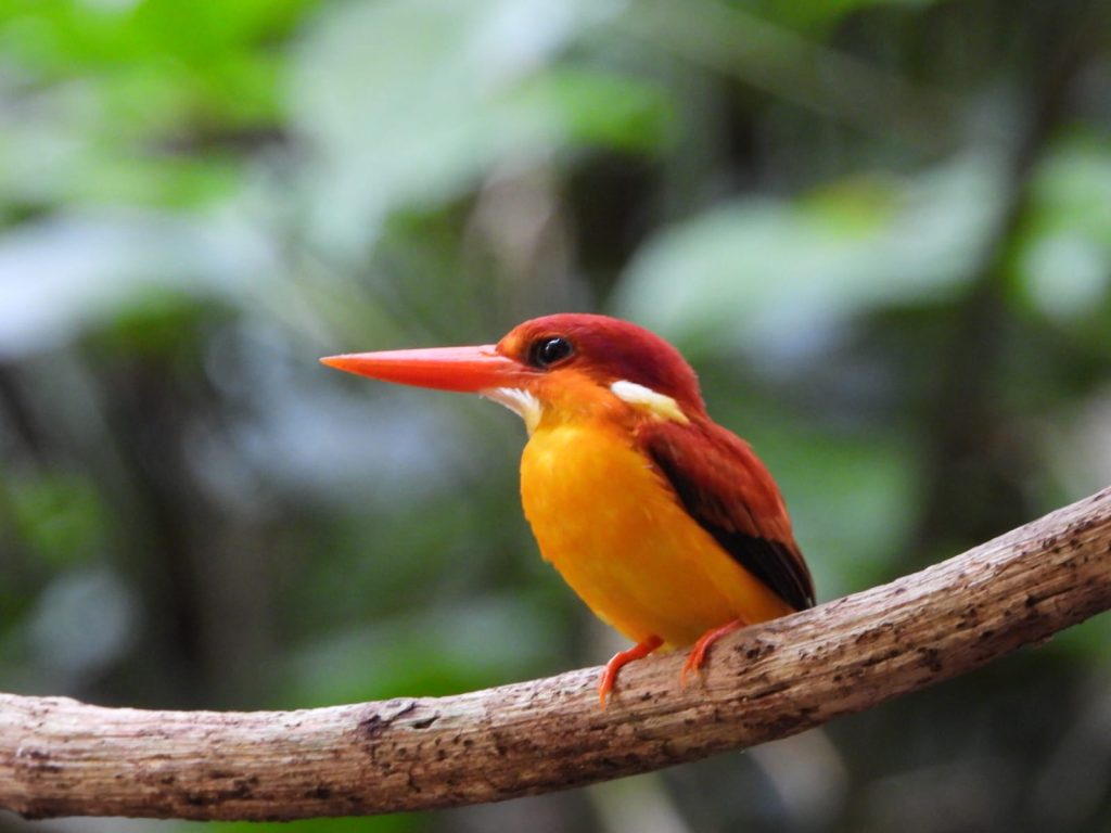 whatsapp image 2025 11 30 at 07.32.00