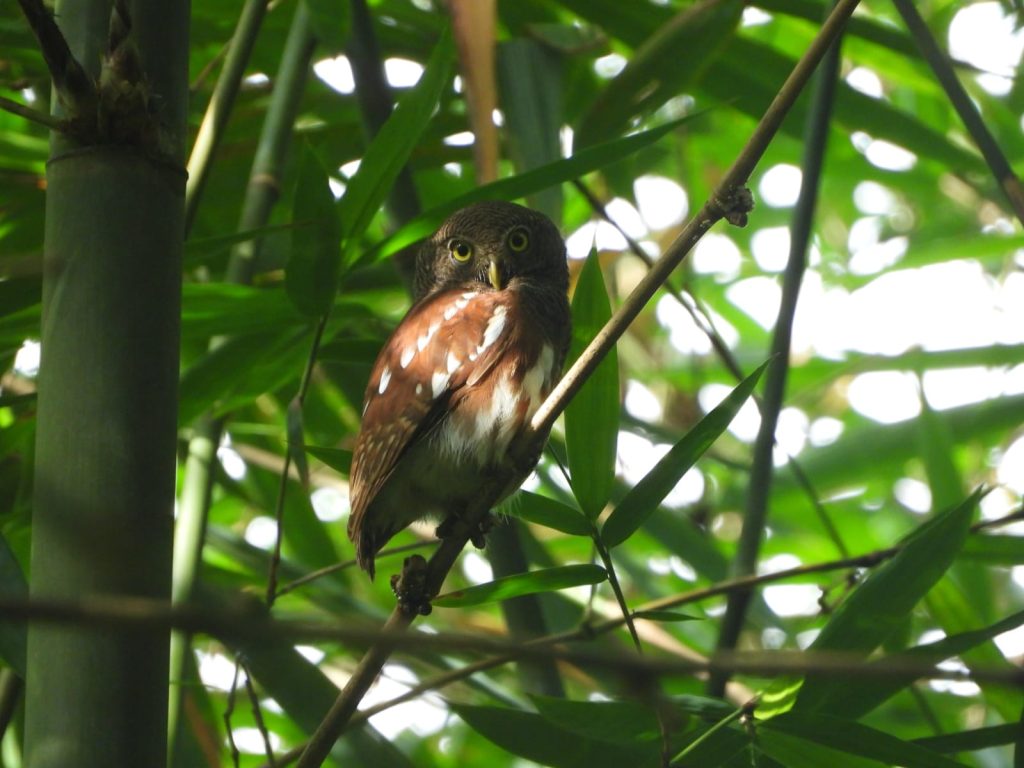 whatsapp image 2025 11 30 at 07.32.41