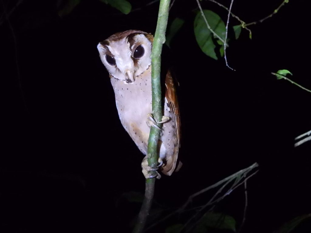 whatsapp image 2025 11 30 at 07.35.36