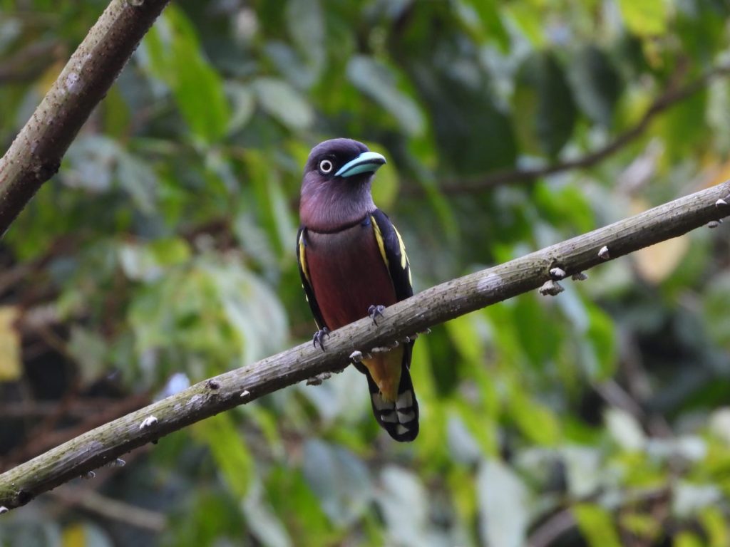 whatsapp image 2026 01 12 at 11.28.26