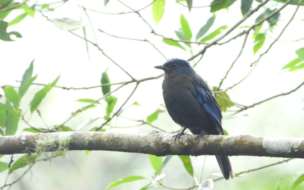 whatsapp image 2026 01 12 at 11.29.05