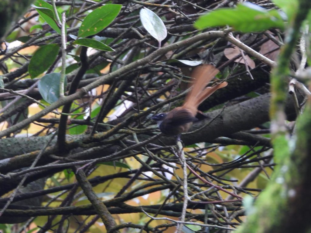 whatsapp image 2026 01 12 at 11.29.23