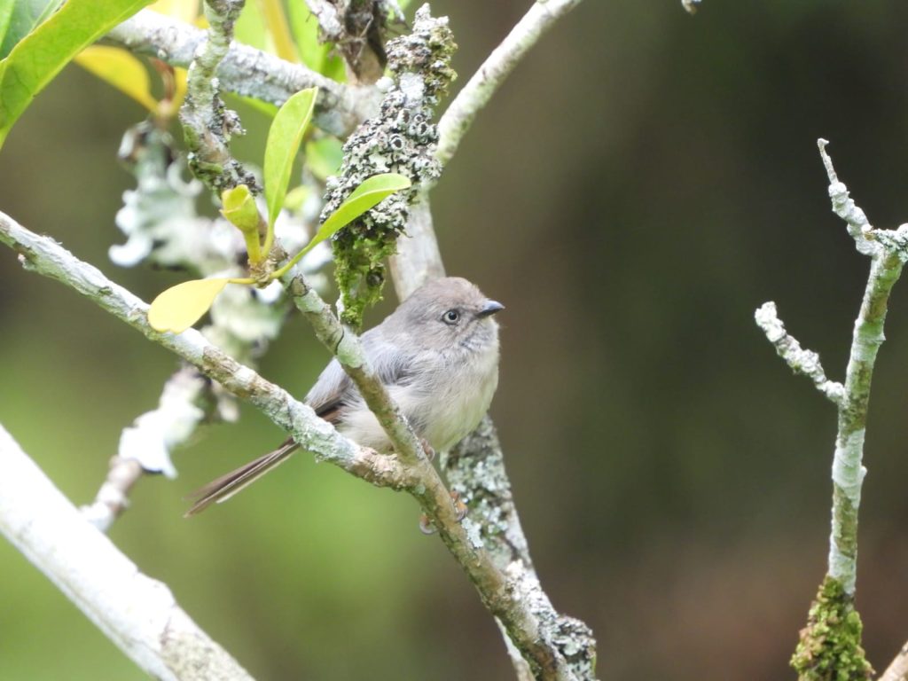 whatsapp image 2026 01 12 at 11.29.43