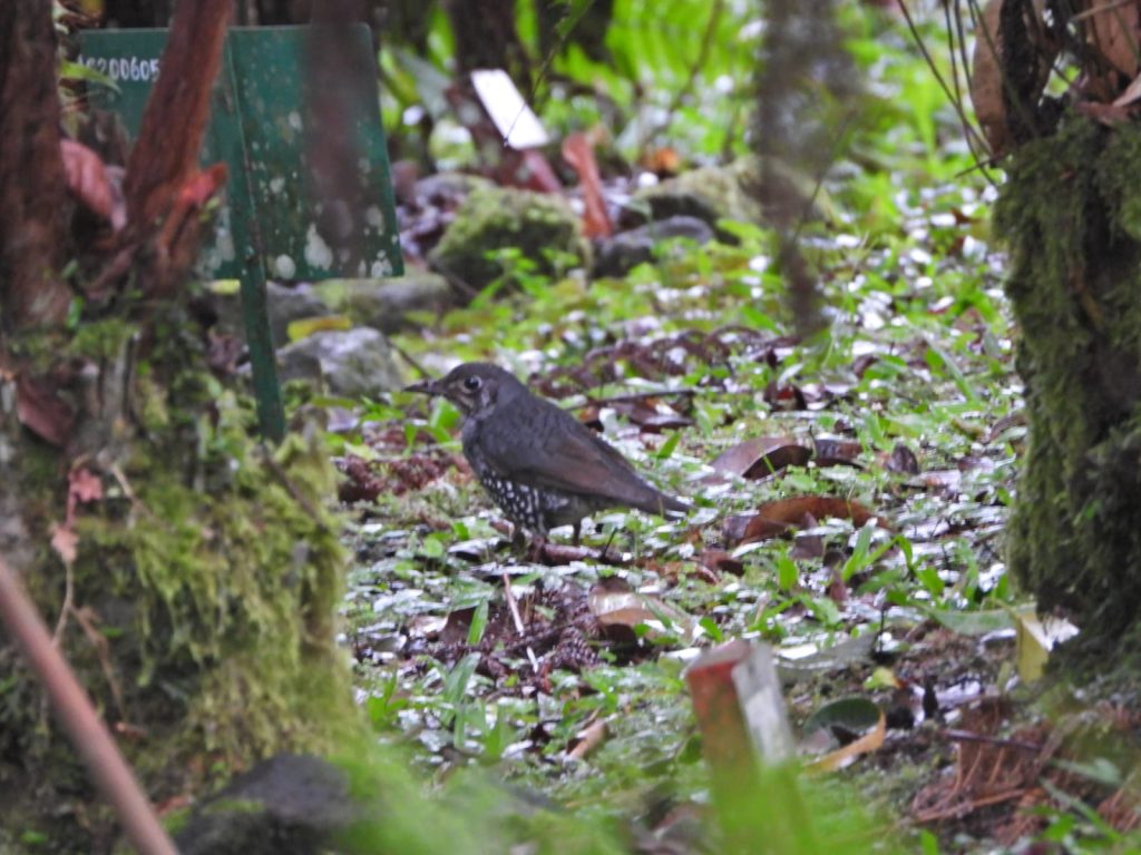 whatsapp image 2026 01 12 at 11.30.26