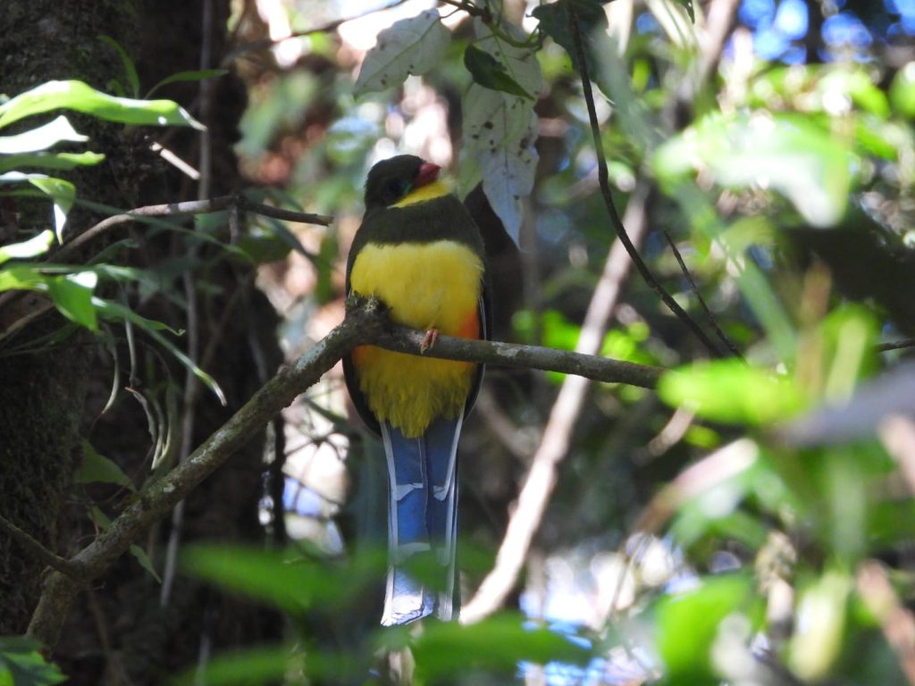 whatsapp image 2026 01 12 at 11.42.40